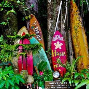 maui hawaii surfboards