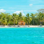 caribbean islands Photo of Wooden Cabin on Beach Near Coconut Trees