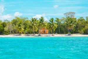 caribbean islands Photo of Wooden Cabin on Beach Near Coconut Trees