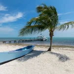 pensacola florida white canoe near palm tree