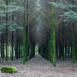 Photo Galicia (Spain)